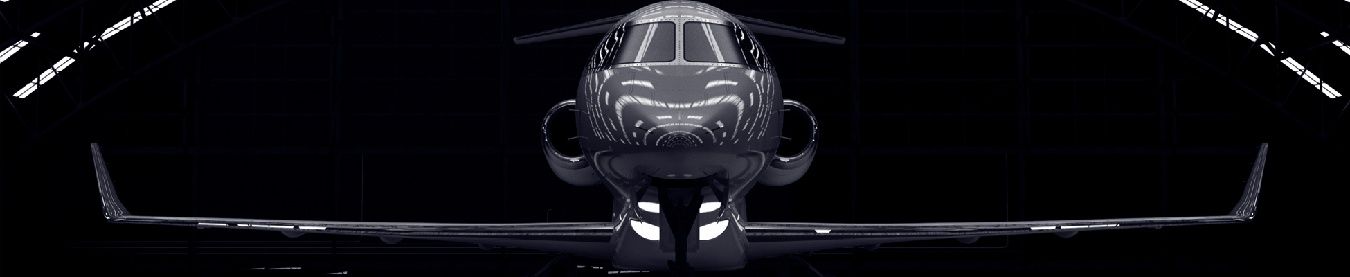 Private Escort for Flight